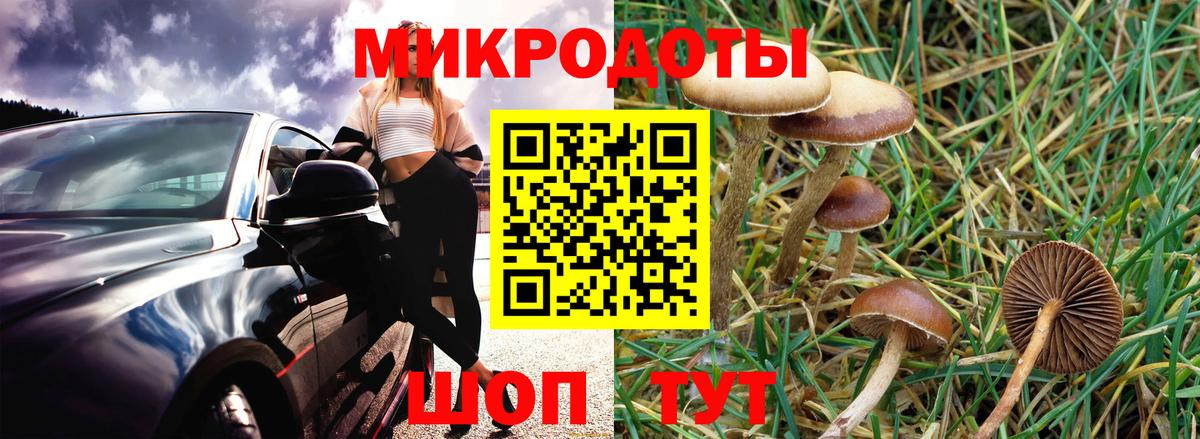 Галлюциногенные грибы ЛСД  Вход с VPN  Псилоцибиновые грибы прущие грибы  Ангарск 